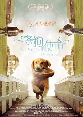 欧美综合干